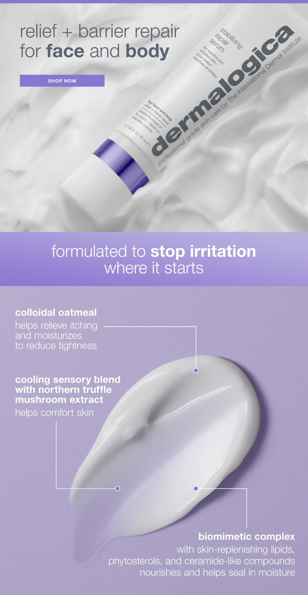 stabilizing repair serum