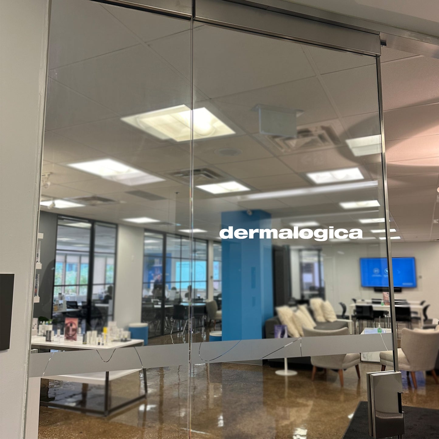 dermalogica window logo