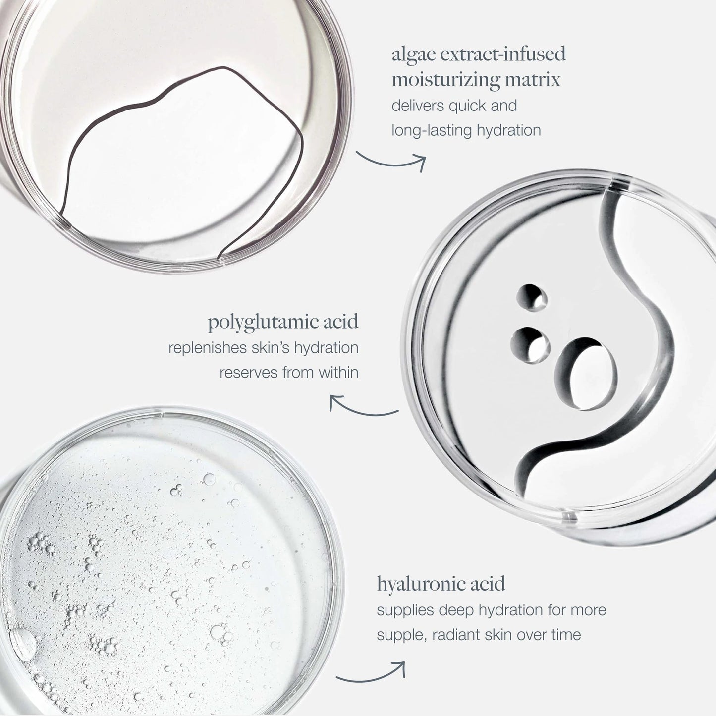 circular hydration serum jumbo